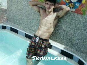 SkyWalkerr