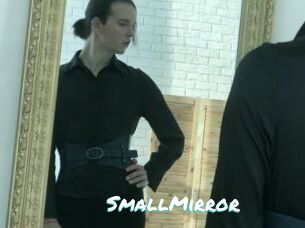 SmallMirror
