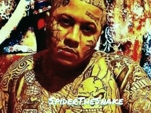 SpiderTheSnake