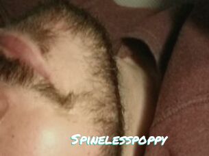 Spinelesspoppy