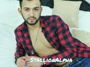 StallionAlpha Free Sites X