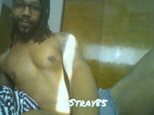 Stray85