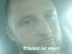 Stroke_of_penis