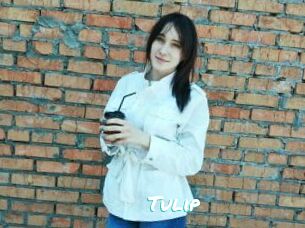 Tulip