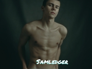 Samledger
