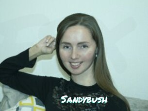 Sandybush