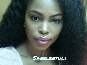 Sanelentuli
