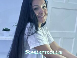 Scarlettcollie