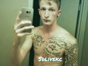 Sdlivekc