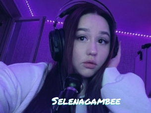 Selenagambee