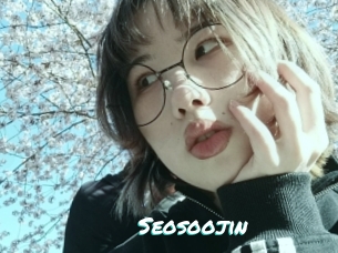Seosoojin