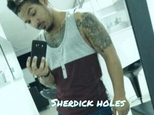 Sherdick_holes
