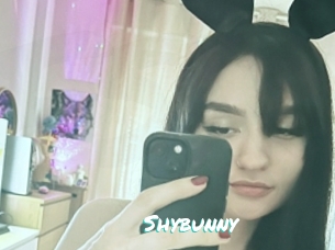 Shybunny