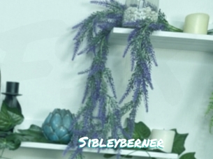 Sibleyberner