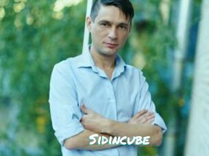 Sid_incube