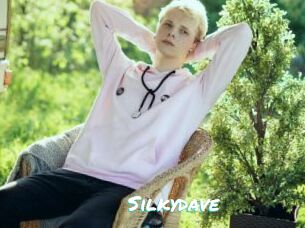 Silkydave