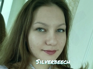 Silverbeech
