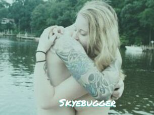 Skyebugger