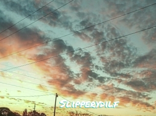Slipperydilf