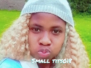Small_tits018