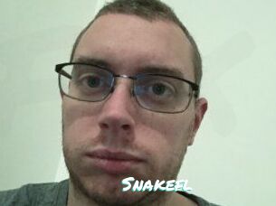 Snakefl