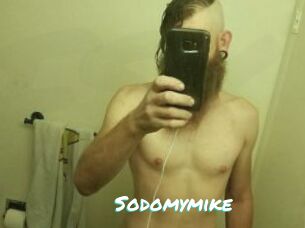 Sodomymike
