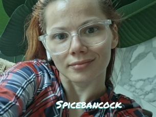 Spicebancock