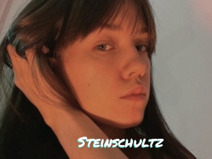 Steinschultz