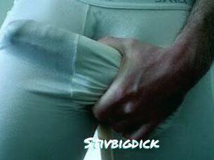Stivbigdick