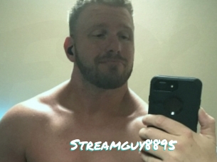 Streamguy8895