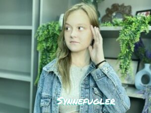 Synnefugler