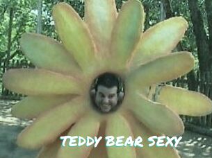 TEDDY_BEAR_SEXY