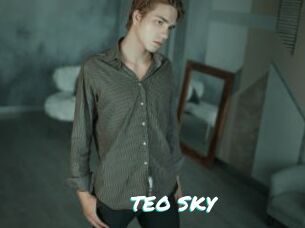 TEO_SKY