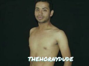 THEHORNYDUDE