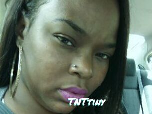 T_N_Ttiny