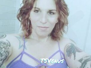 TS_Venus