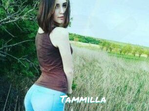 Tammilla_
