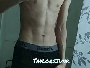 TaylorsJunk