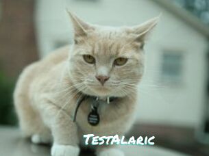 TestAlaric