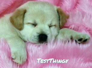 TestThingy