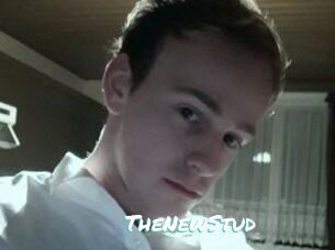 TheNewStud