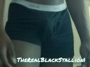 TheRealBlackStallion1