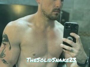 TheSolidSnake23