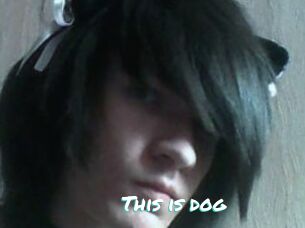 This_is_dog