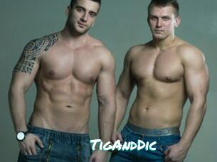 TigAndDic