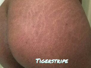 Tigerstripe