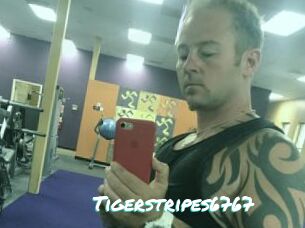 Tigerstripes6767