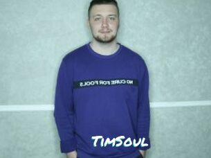 TimSoul