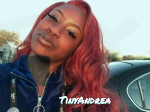 TinyAndrea