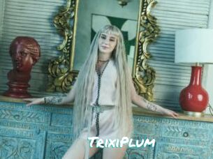 TrixiPlum